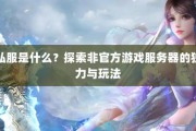 玩家找寻非官方奇迹游戏服务器的关键途径剖析：奇迹私服发布网的利弊